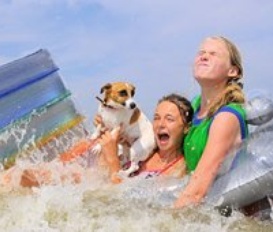 Ferienwohnung Middelkerke