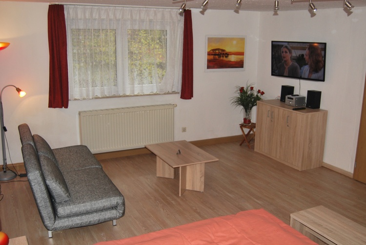 Schlafzimmer mit Schlafcouch