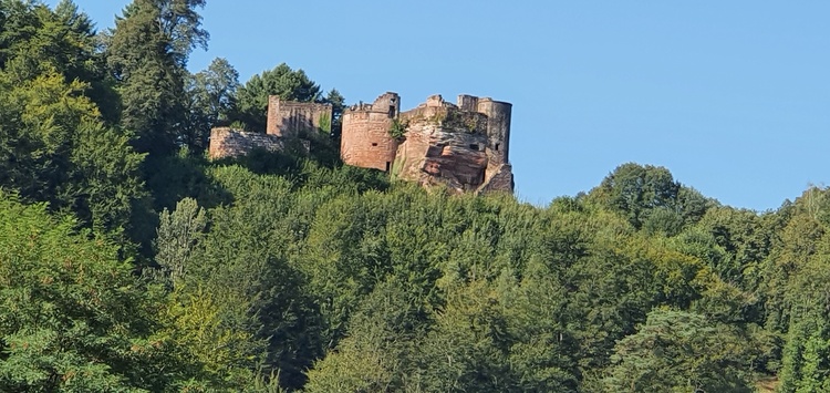 Burg Neu Dahn