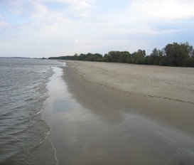 Ferienwohnung Drochtersen - Elbinsel Krautsand