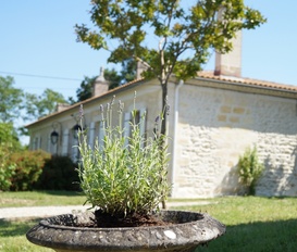Ferienhaus Medoc - Médoc - bei Lesparre / Bordeaux