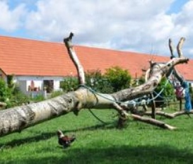 Gästezimmer Wiek - OT Lüttkevitz