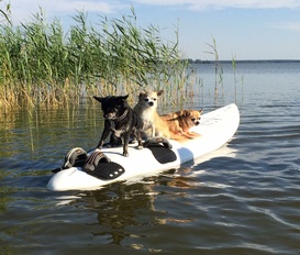 Ferienwohnung Born am Darss