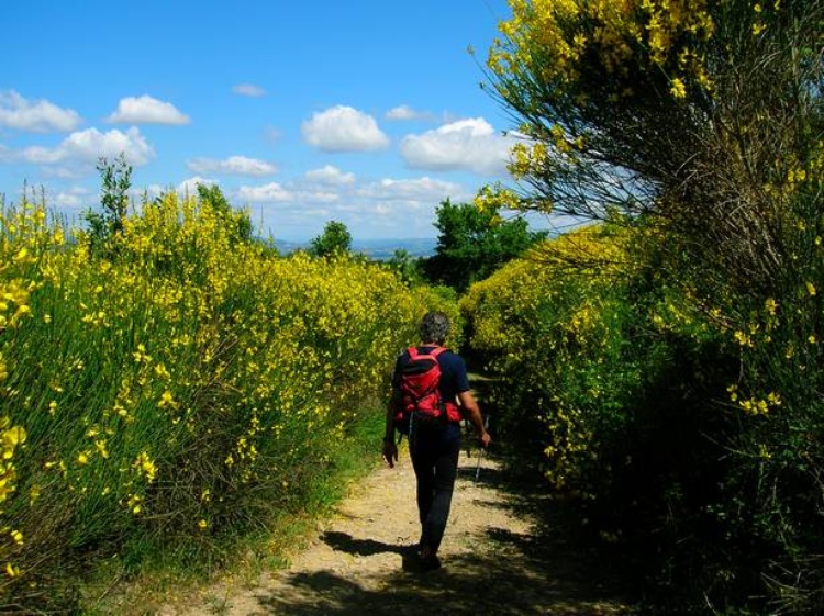 Wandern bei der Villa La Rogaia