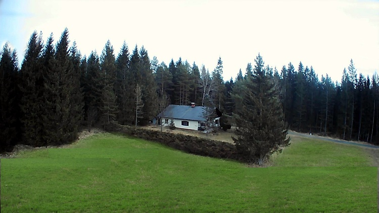 Von Wald und Wiese umgeben