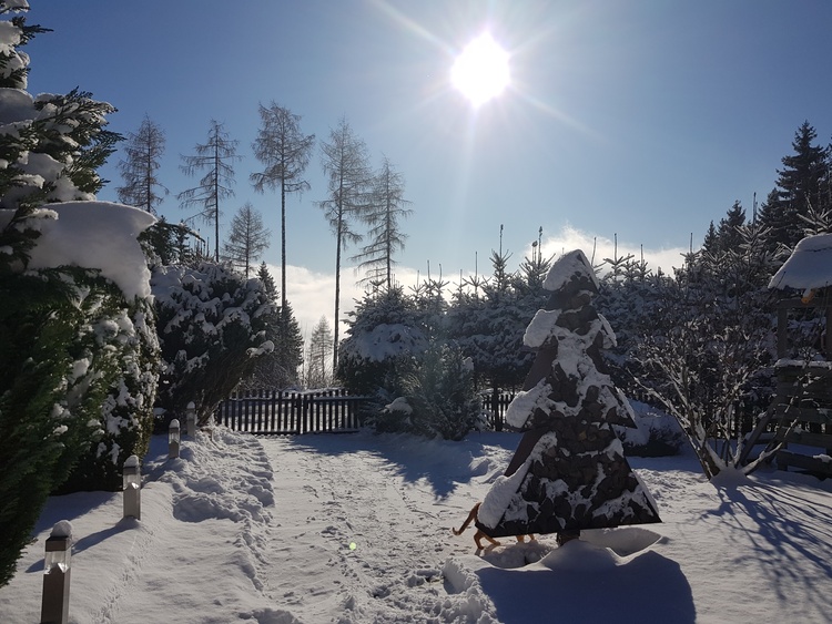 Winter Wonderland Einfahrt ins Ferienhaus