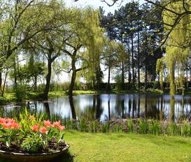 Ferienhaus Belgien Ferienwohnung Ferienhauser Ferienwohnungen Urlaub Auf Dem Bauernhof Privat