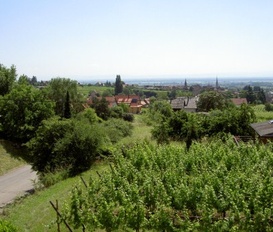 Gästezimmer Mittelbergheim