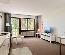 Apartment Dannenfels