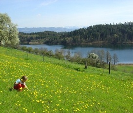 Ferienwohnung Kressbronn - Tettnang