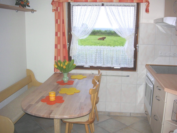 Fewo 2: Die Küche mit Meerblick