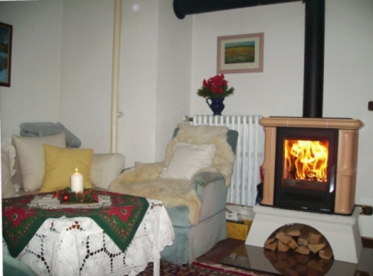 Kaminofen Holz vorh.