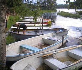 Ferienhaus Zinkgruvan 