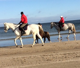 Ferienhaus Trassenheide