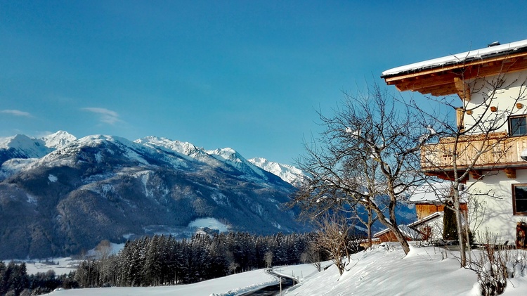 Winterwonderland