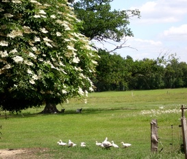 Ferienwohnung Kirchlinteln