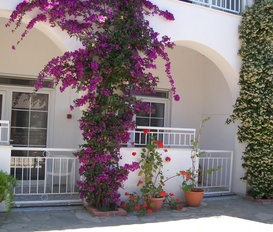 Appartment Psakoudia