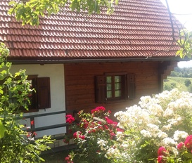 Ferienhaus Straden/Rosenberg - Sulzbach