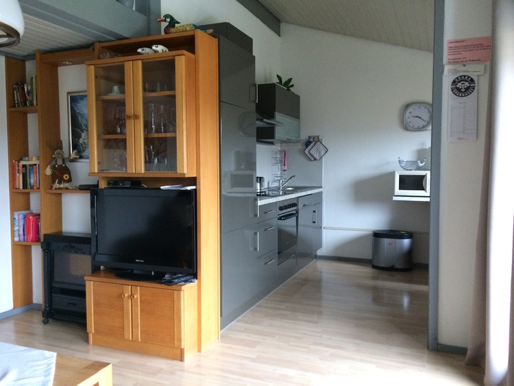 Ferienhaus HENNESEE Wohnbereich