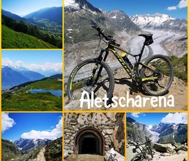 Ferienwohnung Riederalp