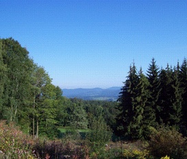 Ferienhaus Kollnburg