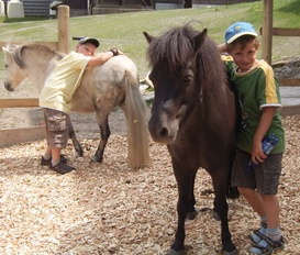 Ferienhaus Willingen
