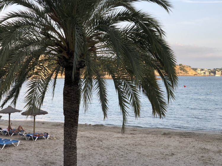 Der Sandstrand von Peguera, ca. 400m entfernt