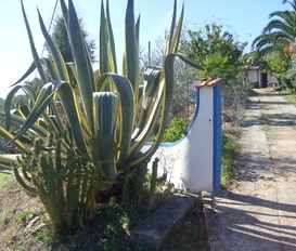 Ferienwohnung Grandola