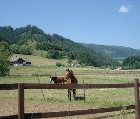 Ferienwohnung Gnesau
