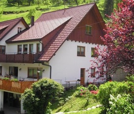 Ferienwohnung Bad Peterstal-Griesbach