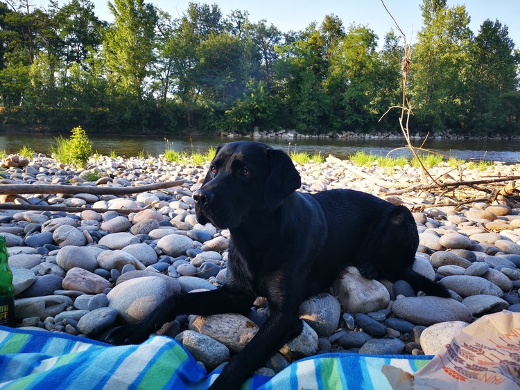 Picknick auf der Insel
