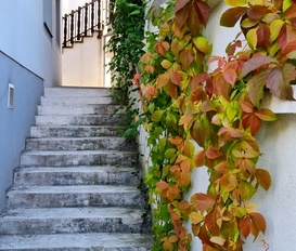 Holiday Apartment Forchtenstein