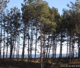 Ferienwohnung Juliusruh