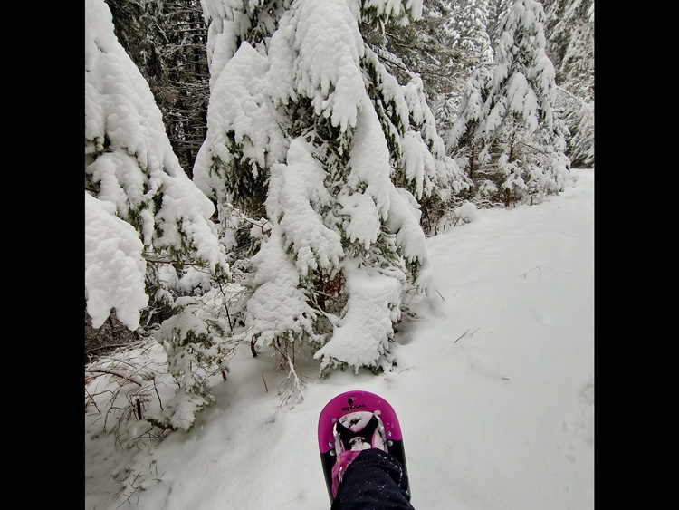 Schneeschuhwandern , Schneeschuhe vor Ort