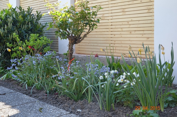 Ferienhaus Herrnbaumgarten, Niederösterreich Ferienhaus Moritz