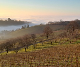 Holiday Apartment Lauf