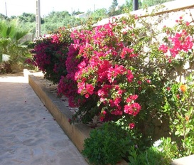 Ferienhaus cala llombards