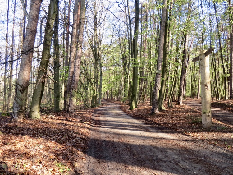 Wanderwege beginnen eine Minute von Ihrem Ferienhaus entfernt