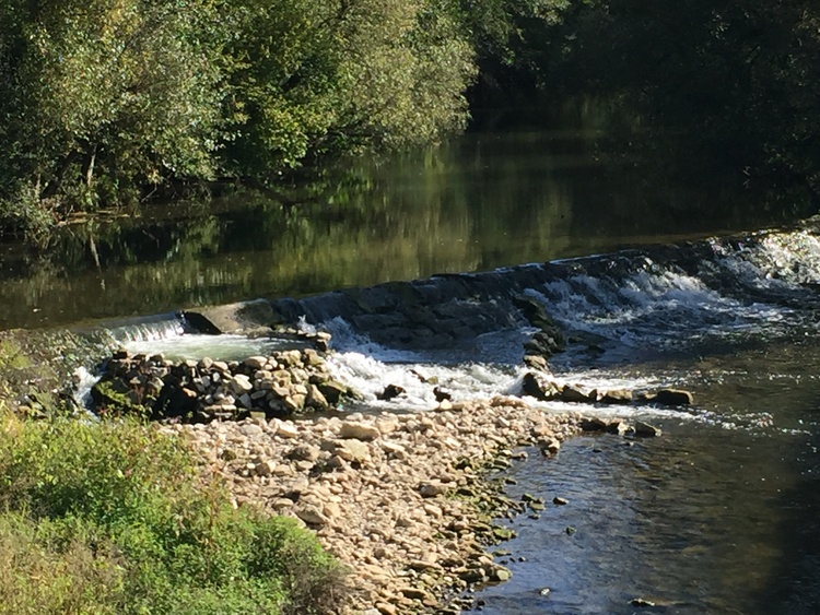 Wildromantisches Bühlertal