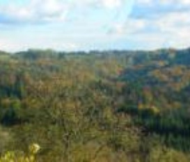 Ferienwohnung Spiegelberg-Vorderbüchelberg