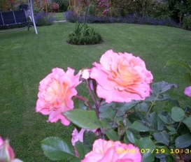 Ferienwohnung Gernrode/Harz