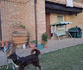 Ferienwohnung Petrignano del Lago
