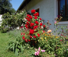 Ferienwohnung Mottingeramt