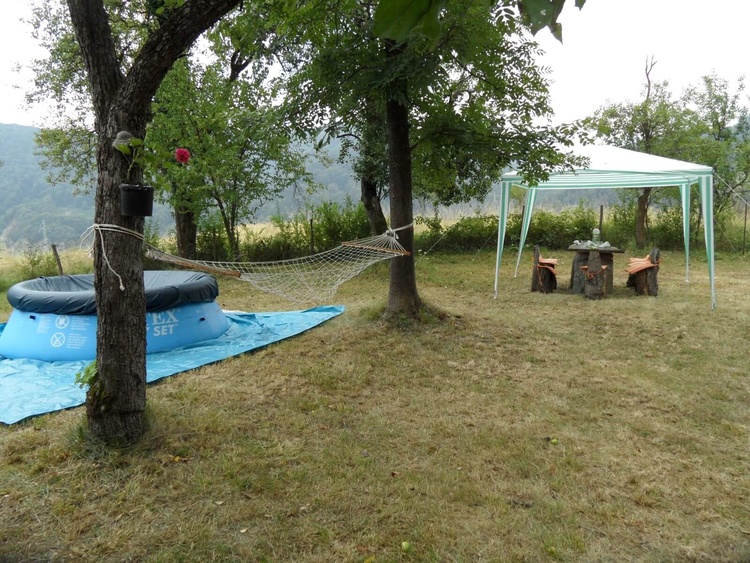 Vorgarten - Blick vom Haus