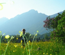 Ferienwohnung Bayerisch Gmain