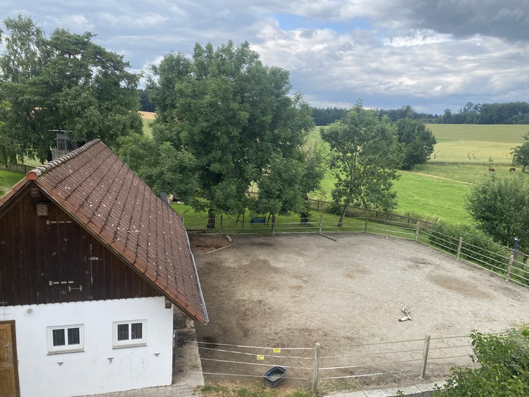 Blick auf Pferdekoppel