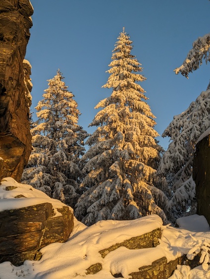 Hoher Stein- Ausflugsziel