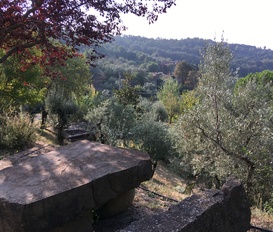 Ferienwohnung Cortona