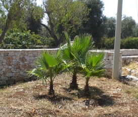 Ferienhaus San Vito dei Normanni