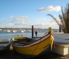 Appartment Sao Martinho do Porto